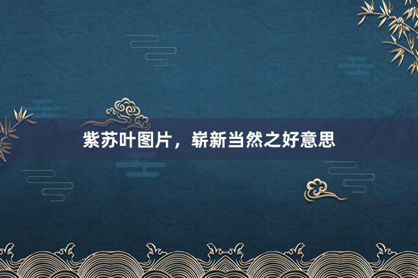 紫苏叶图片,崭新当然之好意思