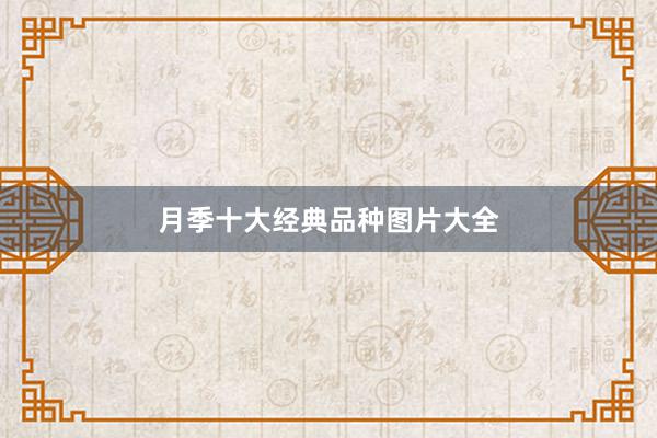 月季十大经典品种图片大全